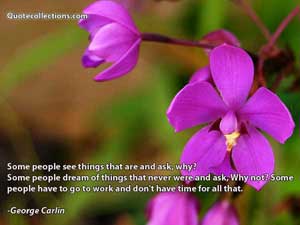 George Carlin Quotes 2